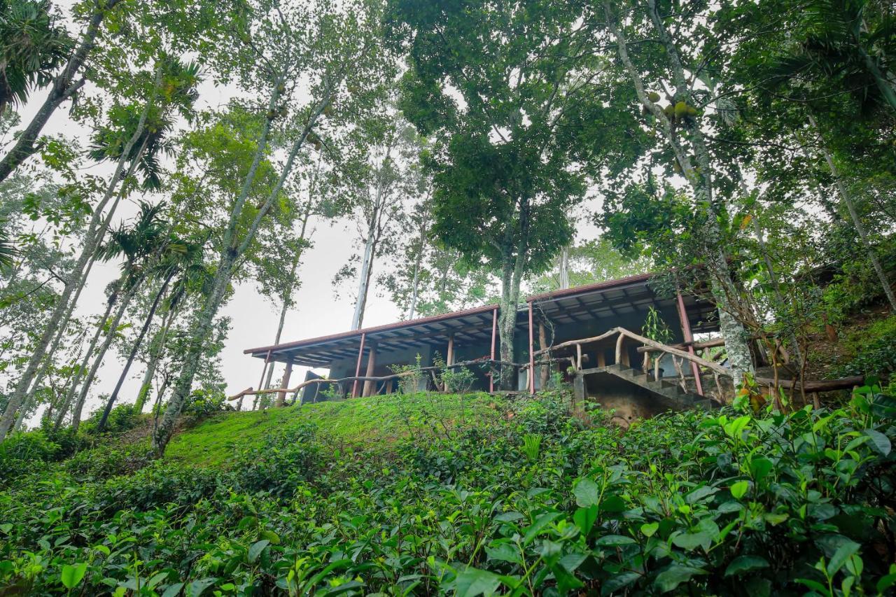 The Spice Lodge إيلا المظهر الخارجي الصورة