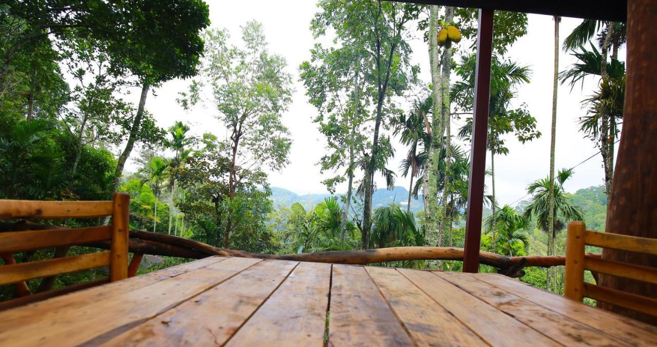 The Spice Lodge إيلا المظهر الخارجي الصورة